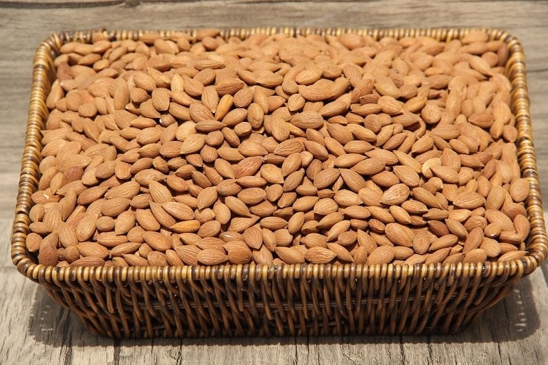 KAYISI ÇEKİRDEĞİ (KG)